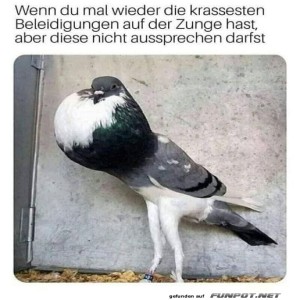 Es-liegt-mir-viel-auf-der-Zunge.jpg von Erwin32