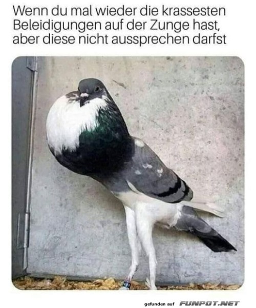 Es-liegt-mir-viel-auf-der-Zunge.jpg auf www.funpot.net