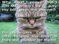 Will jemand meine Rechnungen zahlen 