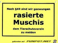rasierte Muschis