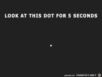 schau f�r 5 Sekunden auf den Punkt