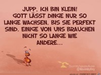perfekt