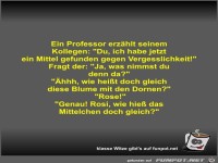 Ein Professor erzählt seinem Kollegen