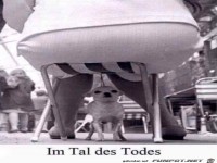 Dieser Hund lebt gef�hrlich