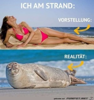 Am-Strand.jpg auf www.funpot.net