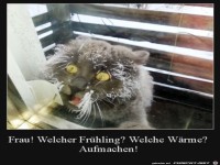 Von wegen Fr�hling