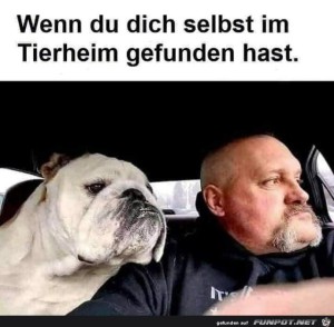 Im-Tierheim.jpg auf www.funpot.net