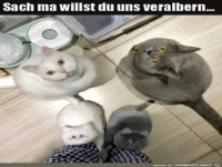 Willst du uns veralbern?