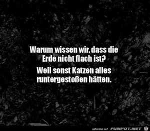 Die-Erde-ist-nicht-flach.jpg auf www.funpot.net