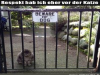 Eher Angst vor der Katze