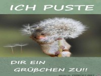 ein Grüßchen