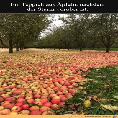 Apfel-Teppich.jpg von Lillian