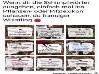 Lustige Schimpfw�rter