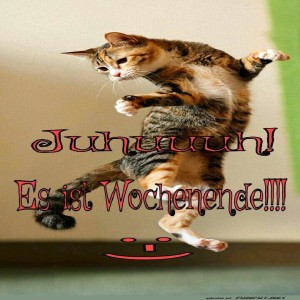 Begrüßungsbild