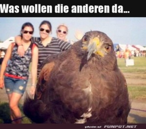 Was-machen-die-hier?.jpg auf www.funpot.net