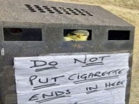 Kleiner Vogel in Zigarettenbeh�lter entdeckt