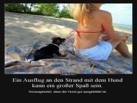 Strandtag mit Hund