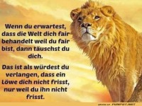 Fair behandelt werden