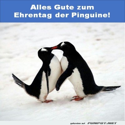 Pinguin-Plauderei:-Die-k&auml;lteste-Umarmung.jpg von Brenda22