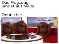 Affen-Sucht auf Mallorca