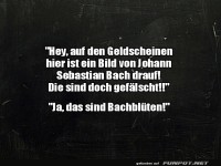Bachbl�ten auf Geldscheinen
