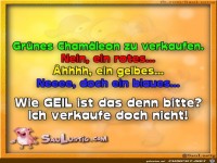 Gruenes-Chamaeleon