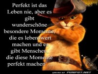 Perfekt ist das Leben nie