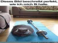 So halte ich mich fit