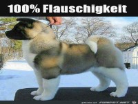 Mit Perwoll gewaschen