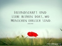 Aufbl�hen