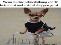 Erst mal einkaufen gehen