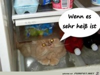 wenn es sehr heiss ist 