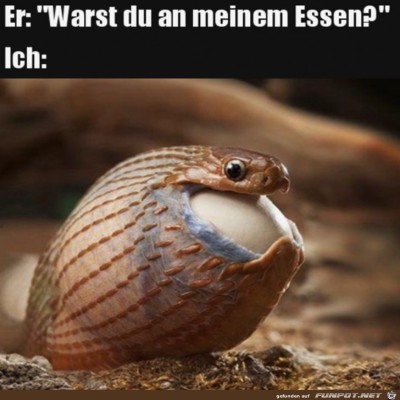 Hast-du-mein-Essen-gesehen?.jpg von Lina