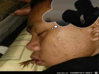 Traum und Realit�t