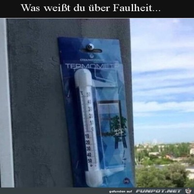 Faulheit-pur.jpg von Enya