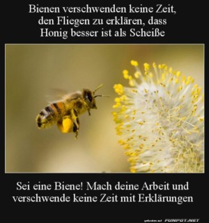 Sei-eine-Biene.jpg auf www.funpot.net