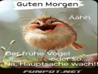 Frhlicher Start in den Tag