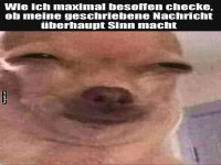 Wenn der Text doppelt verschwommen erscheint