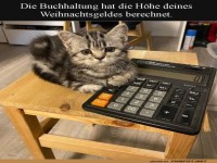 K�tzchen pr�ft dein Weihnachtsbudget!