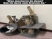 Katzenkunstwerk mit Kratzbaum-Charme