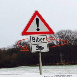 Komischer-Biber.jpg von Phil-1986