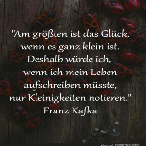 Kleine-Gl�cksmomente,-gro�e-K�ferparty!.jpg von Roger05