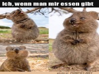 Es gibt Essen