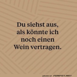 fun-Bild: Wein-Weisheiten des Alltags