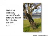 Geduld ist
