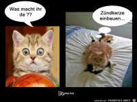 156377 582538955160097 972502334 n