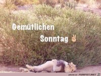 Gem�tllichen Sonntag