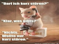 Darf ich kurz stören?