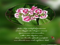 Jeden Tag frohgestimmt