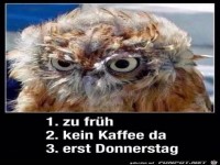 Erst Donnerstag